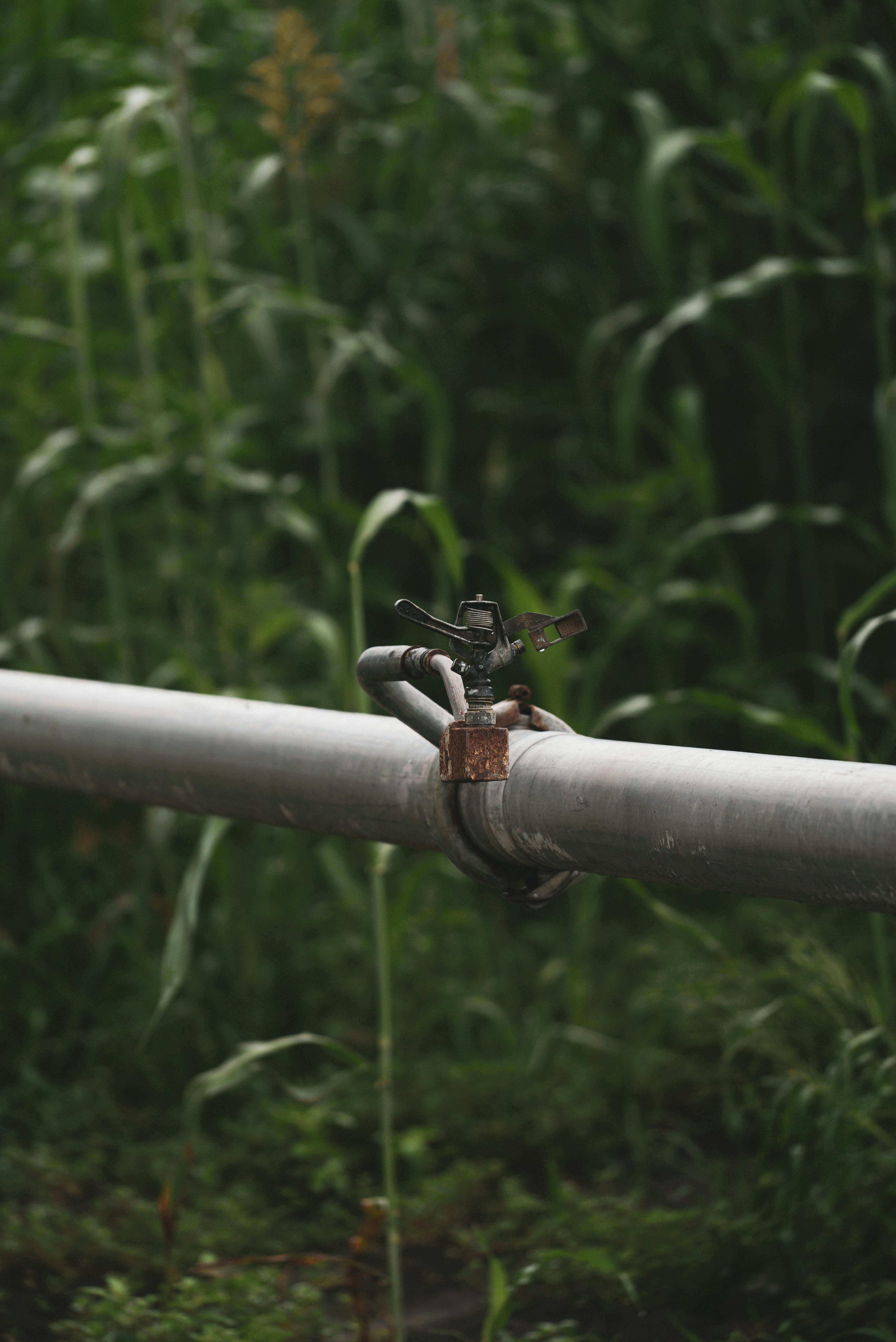 Drip Irrigation System