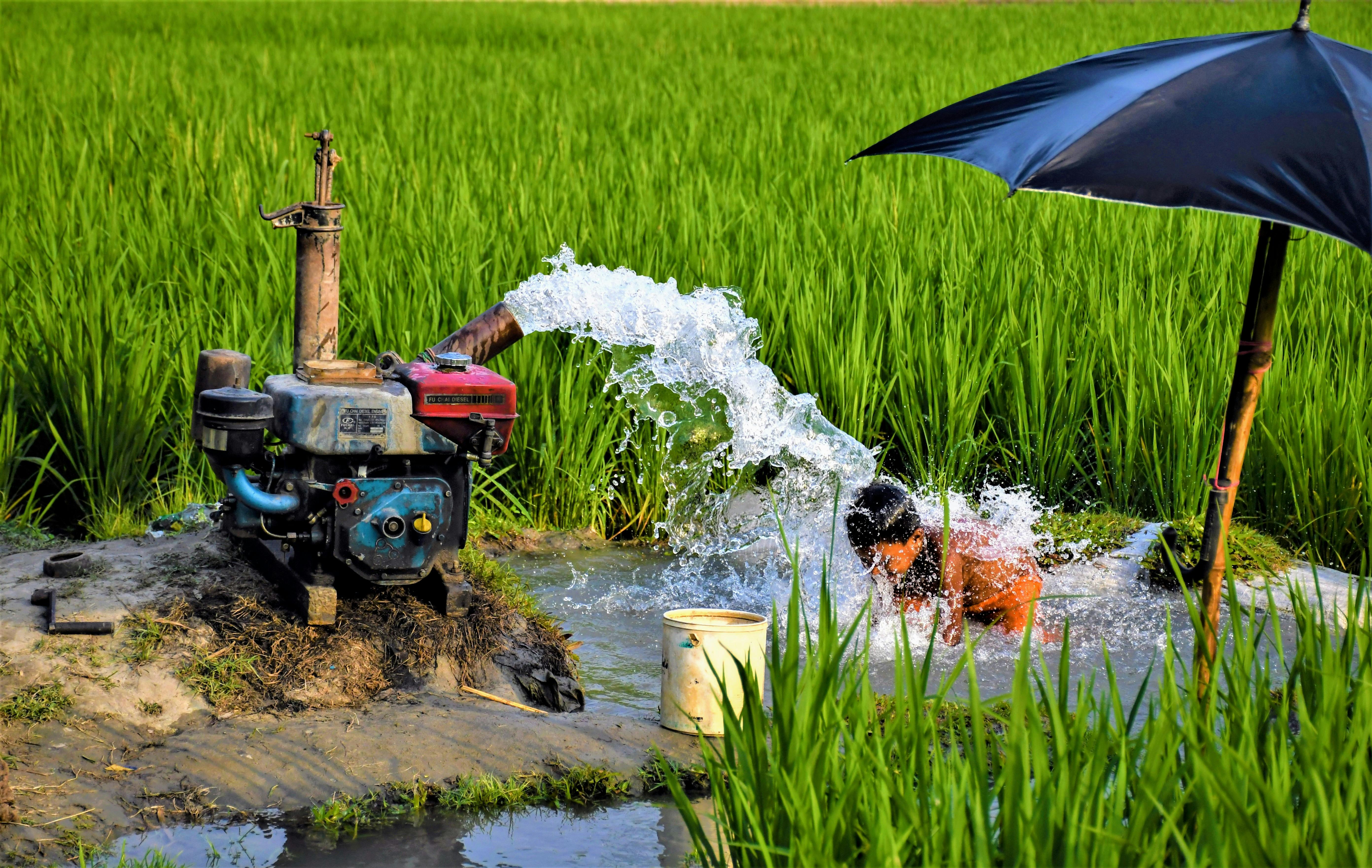 Water Pump